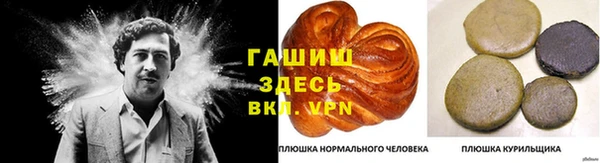 сатива Абаза