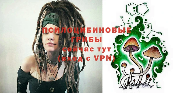 молекула духа Абинск