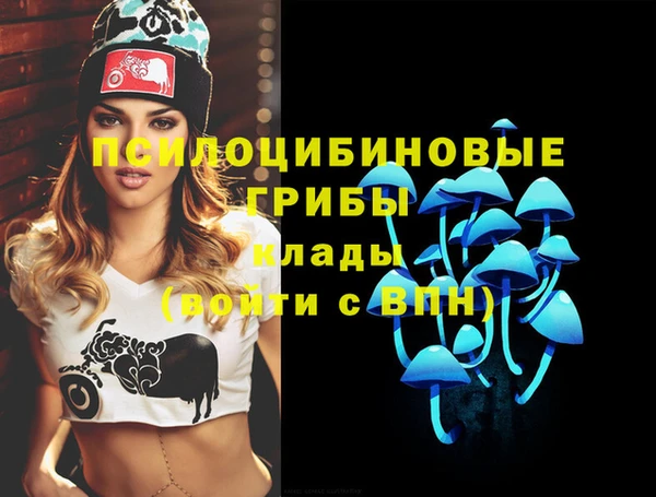 молекула духа Абинск