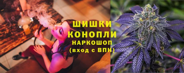 сатива Абаза