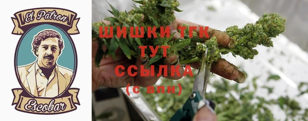 сатива Абаза