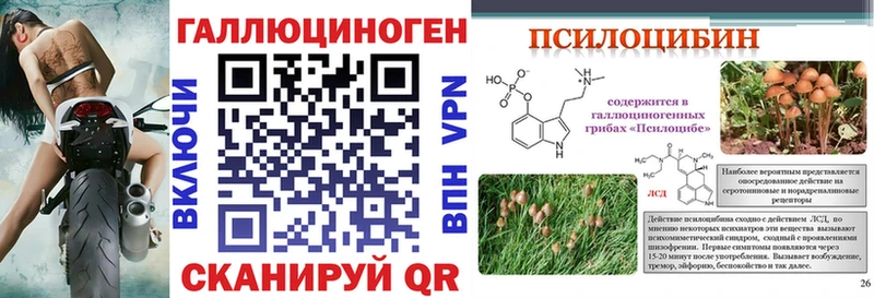 kraken маркетплейс Гусиноозёрск Галлюциногенные грибы MAGIC MUSHROOMS где купить наркоту