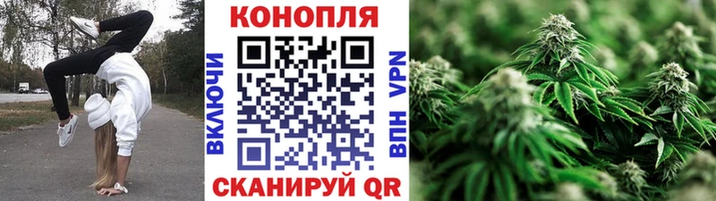 Бошки марихуана план  Гусиноозёрск 